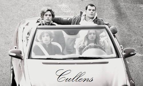 The Cullen's