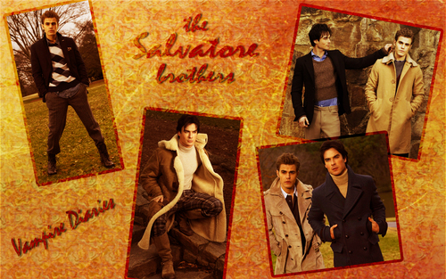  Vampire Diaries Salvatore brothers (Damon, Stefan)