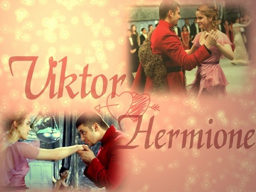  Viktor and Hermione