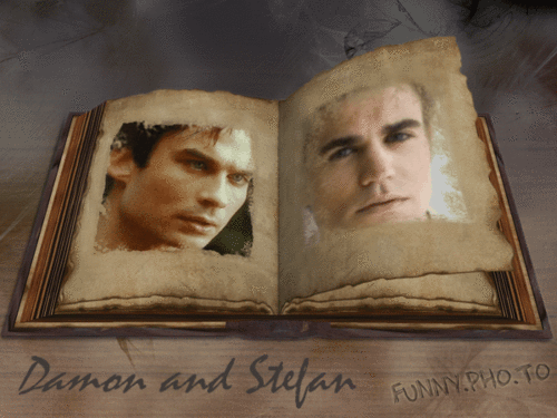  Damon & Stefan gif