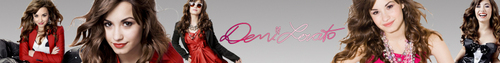  Demi Lovato banner