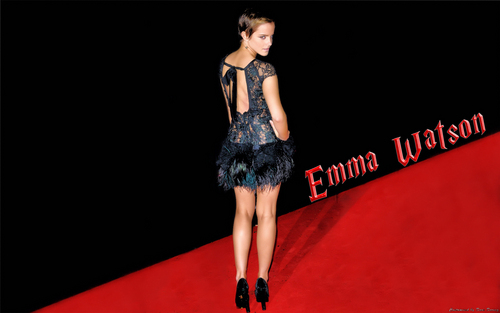  Emma Watson HP Premier achtergrond