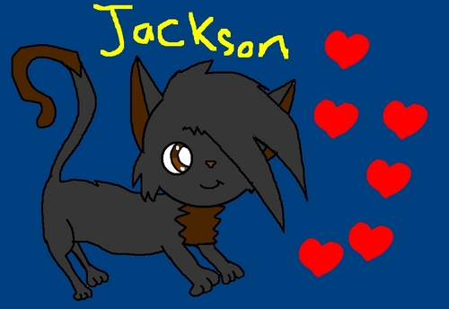  Jackson!
