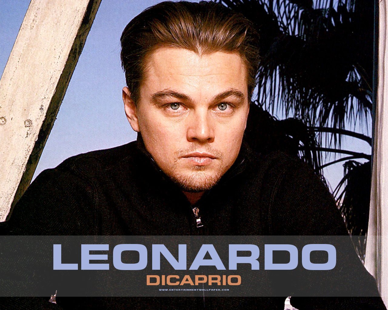 Leonardo DiCaprio Leonardo DiCaprio
