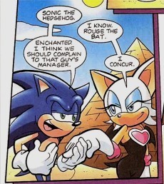  Sonic and Rouge