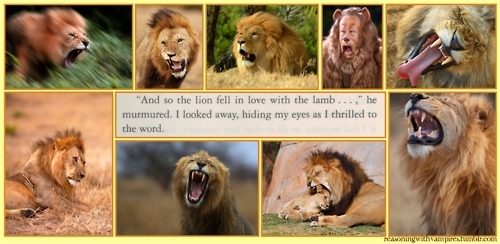  the lion fall in love with...