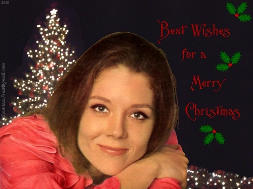 2010 Diana - Christmas Wishes