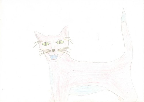  Cat in pink, blue and yellow