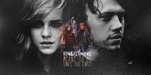  Hermione and Ron DH