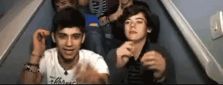  Inresistable Zayn & Flirty Harry Approve :) x