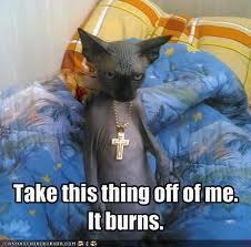  Kitty no like Hesus Christ