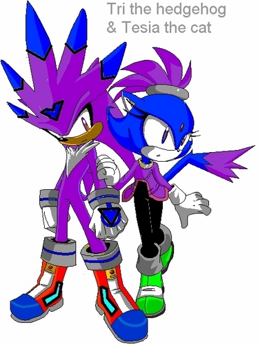  Tri the hedgehog and Tesia the cat, Danny's foster parents