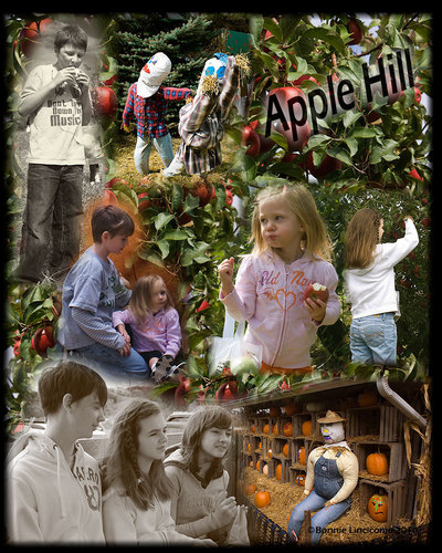  apel, apple orchard