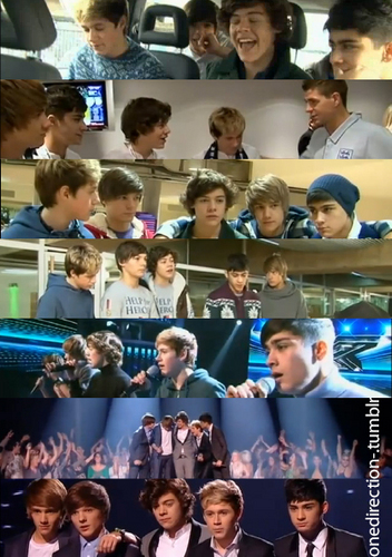  1 Direction Journey Through Week 7 "All U Need Is Love" :) x