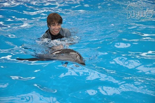  Alex with dolphins!!!! ♥♥♥