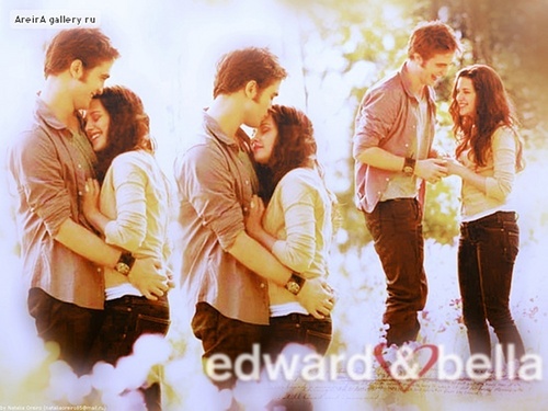  Edward and Bella - 壁紙