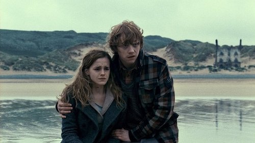 Harry Potter and The Deathly Hallows Pics