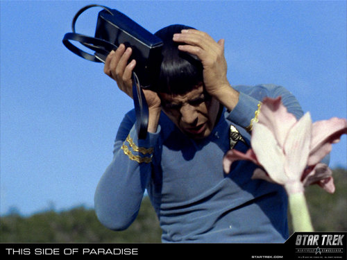  Mr Spock