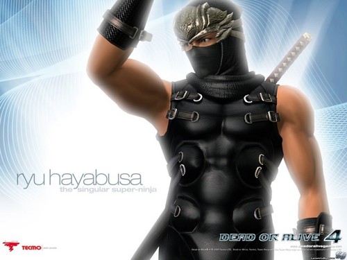  Ryu Hayabusa Hintergrund