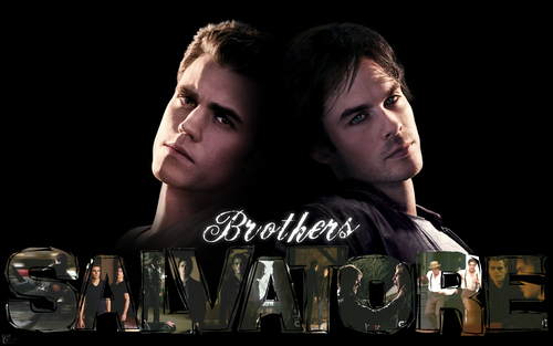  Stefan & Damon