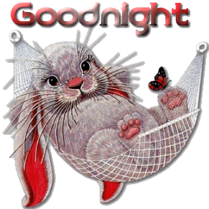  Sweet bunny night :)