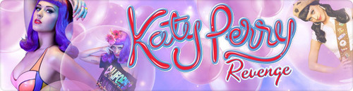  katty perry banner