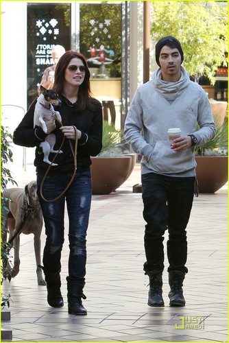  Ashley Greene and Joe Jonas take a walk in Los Angeles (November 24)