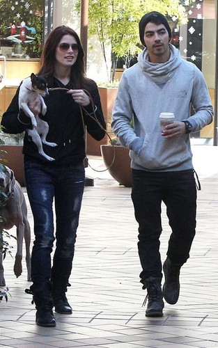  Ashley and Joe Jonas Dog walk in Los Angeles - November 24, 2010