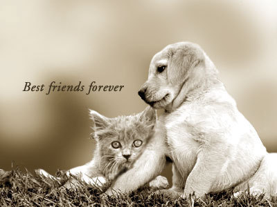  Best Friends Forever!