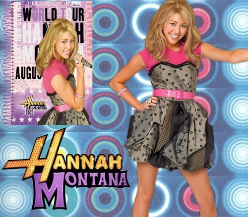  Book Hannah Montana Season 3 2009 and 2010