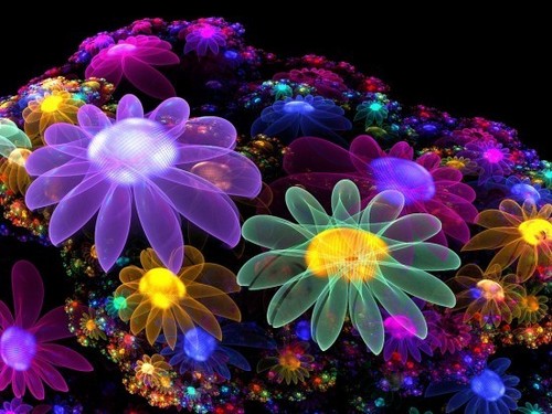  Colourful 꽃