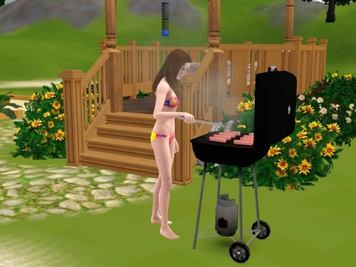  Grilled Hotdogs