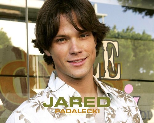  Jared Padalecki দেওয়ালপত্র