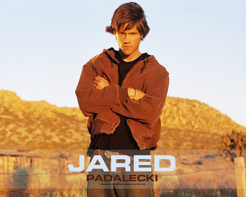  Jared Padalecki দেওয়ালপত্র