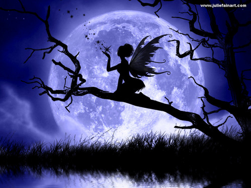  Moonlight Fairy