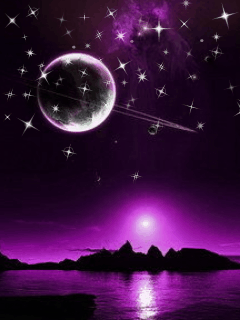  Purple night