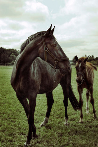  Beautiful 马