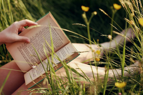 Buttercups and Books