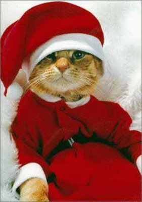  क्रिस्मस Cat <3