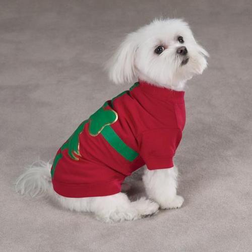  क्रिस्मस कुत्ता