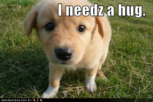  Cute pups with funny captions!