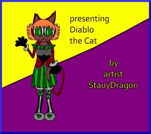  Diablo the cat