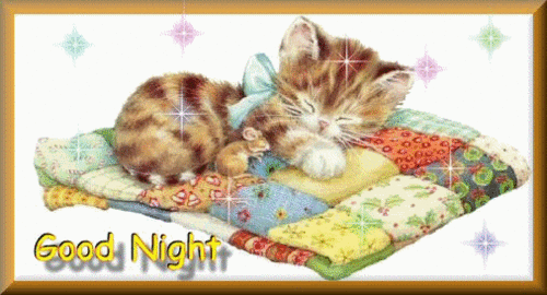Good Night My Dear Friend <3