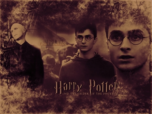  Harry vs Voldemort
