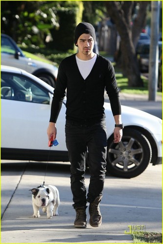  Joe Jonas Walks With Winston