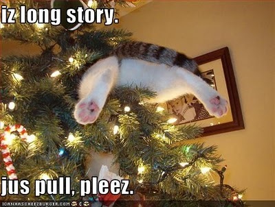 LOL....Christmas Cat ::D
