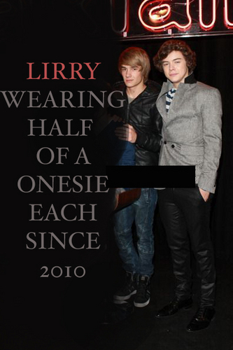  Liam + Harry = Lirry :) x