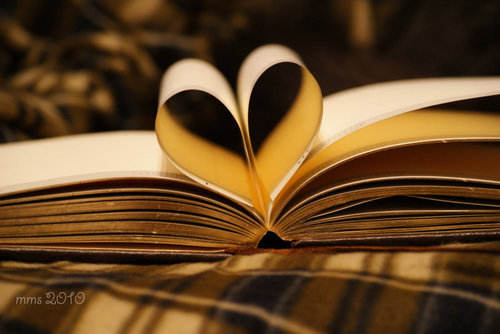  Liebe is in the Bücher