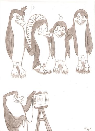  My chim cánh cụt family
