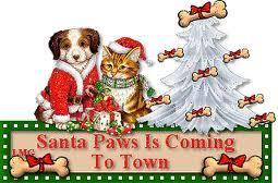  Santa Paws is Coming To Town :)